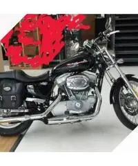Harley davidson sportster 883 carburatore Harley davidson sportster 883 carburatore