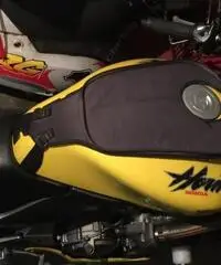 Honda hornet 600 del 02