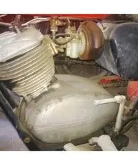 MOTO GUZZI STORNELLO cc 125 immatricolata 1950