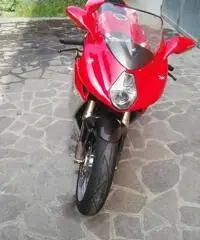 MV AGUSTA F4 1000 S 1+1