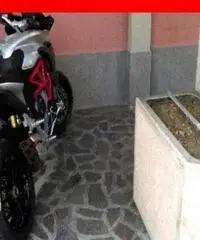 MV AGUSTA Turismo Veloce 800 grigia  - 0