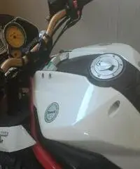 BENELLI TNT 1130 Export price www.actionbike.it