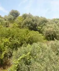 Appartamento in Vendita a 250.000