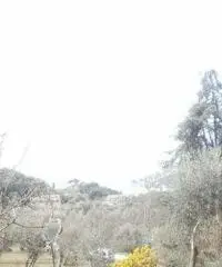 Recco: Rustico Altro Recco: Rustico Altro