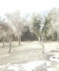 Recco: Rustico Altro Recco: Rustico Altro