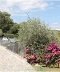 Villa a Loano Villa a Loano