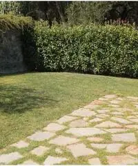 Villa a Loano Villa a Loano