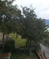 Recco: Villa 5 Locali o piu Recco: Villa 5 Locali o piu