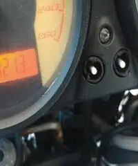DUCATI Monster S2R 1000 Export price