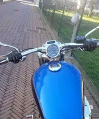 HARLEY DAVIDSON