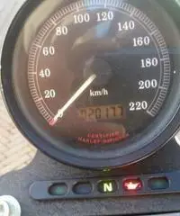 HARLEY DAVIDSON