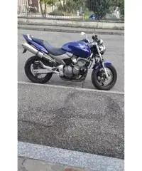 honda hornet 600 honda hornet 600