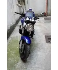 honda hornet 600 honda hornet 600