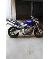 honda hornet 600 honda hornet 600