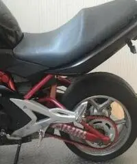 KAWASAKI ER-6N Export price www.actionbike.it