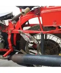 MOTO GUZZI V7 Super Alce 500