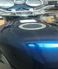 SUZUKI GSF 1200 Bandit Export price www.actionbike.it