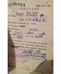 Vendo Guzzi Dingo 49