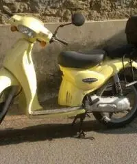 APRILIA Scarabeo tipo veicolo 50cc cc 50