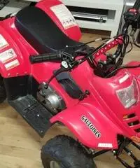 Italjet Moto Shopping 50