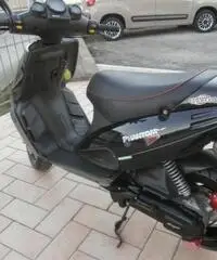 Malaguti F12 Phantom 50 DIGIT Malaguti F12 Phantom 50 DIGIT