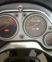 APRILIA Pegaso tipo veicolo Turismo cc 650