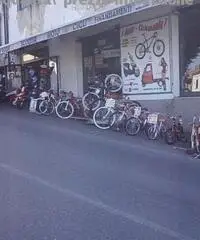 CASCO VEMAR MODULARE IN POLICARBONATO in promozion