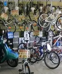 CICLO OLANDESINA DI 16 LOMBARDO nuova di fabbrica