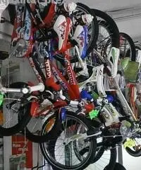 MTB LOMBARDO DI 12 KM ZERO (NUOVA)