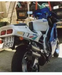 Vendo Suzuki RGV 250 Gamma Vendo Suzuki RGV 250 Gamma