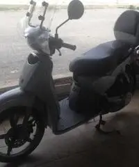 Aprilia Scarabeo  50 Scarabeo  50 4t