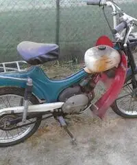 Ciclomotori d'epoca guzzi