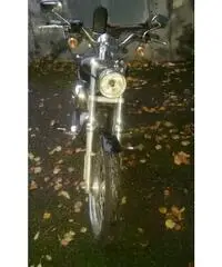 HARLEY DAVIDSON 883