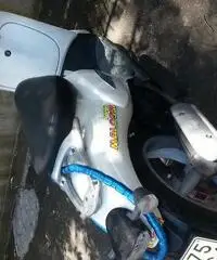 APRILIA Scarabeo 50 50cc cc 50