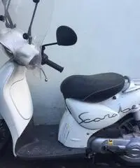 APRILIA Scarabeo 50 50cc cc 50