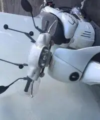 APRILIA Scarabeo 50 50cc cc 50