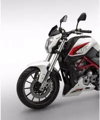 BENELLI BN bn 251