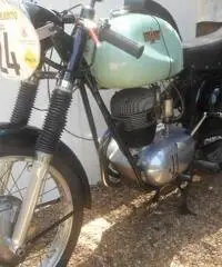 bianchi tonale
