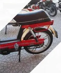 Fantic Motor Altro modello - 1981