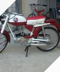Garelli 555 Junior 1965 restaurato Garelli 555 Junior 1965 restaurato