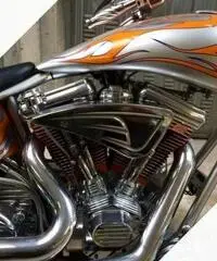 Harley Davidson Special Arlen Ness