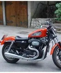 HARLEY-DAVIDSON Sportster 883 Custom cc 883