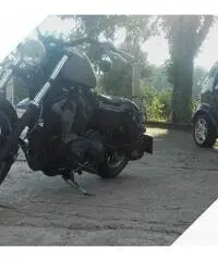 Harley-Davidson Sportster 883 - 2005 Harley-Davidson Sportster 883 - 2005