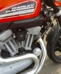harley xr 1200 harley xr 1200