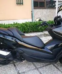 HONDA Forza PASSAGGIO E GARANZIA INCLUSO