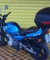 KAWASAKI ER-5 500 2004 KAWASAKI ER-5 500 2004