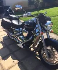 maestosa Suzuki Vl800 , custom