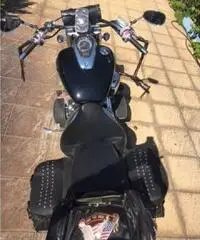 maestosa Suzuki Vl800 , custom