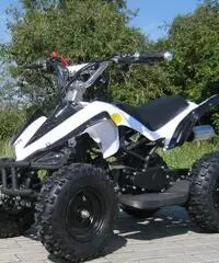 MINIQUAD ELETTRICO 50 CC MINI QUAD MOTO BAMBINI CROSS RACER STUPENDO!! MINIQUAD ELETTRICO 50 CC MINI QUAD MOTO BAMBINI CROSS RACER STUPENDO!!