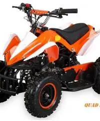 MINIQUAD ELETTRICO 50 CC MINI QUAD MOTO BAMBINI CROSS RACER STUPENDO!! MINIQUAD ELETTRICO 50 CC MINI QUAD MOTO BAMBINI CROSS RACER STUPENDO!!
